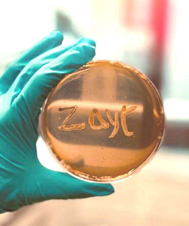 zayt biosciences
